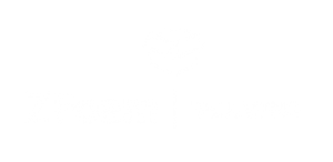zfoam-packaging-sectores-02